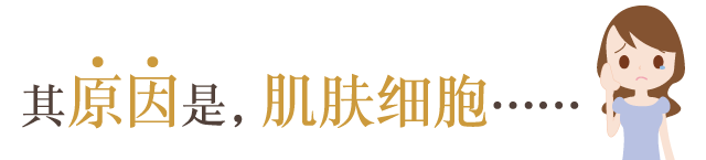 其原因是,肌肤细胞